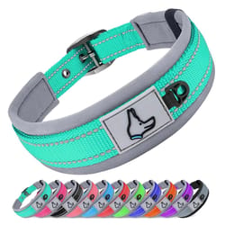 heavy duty padded reflective nylon pet collar
