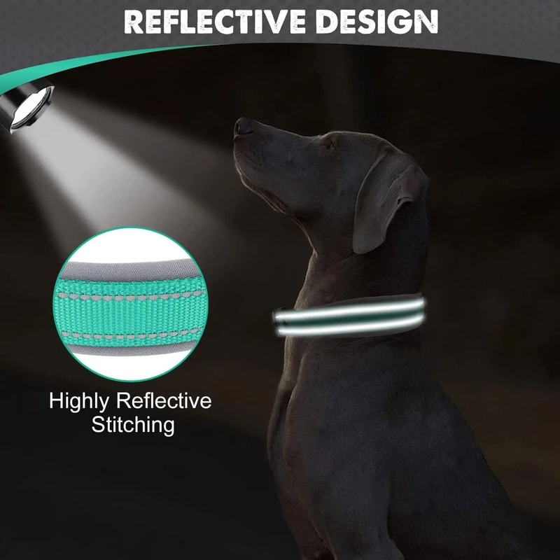Heavy Duty Padded Reflective Nylon Pet Collar 2