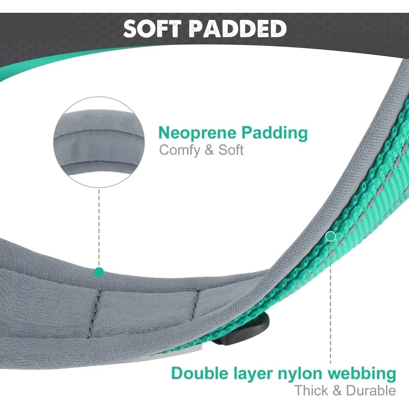 Heavy Duty Padded Reflective Nylon Pet Collar 3