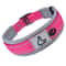 Heavy Duty Padded Reflective Nylon Pet Collar 12
