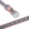 Custom Engraved Reflective PU Leather Pet Collar 4