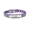 Custom Engraved Reflective PU Leather Pet Collar 11