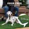 Reusable Artificial Grass Dog Training Mat 2