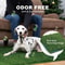Reusable Artificial Grass Dog Training Mat 2