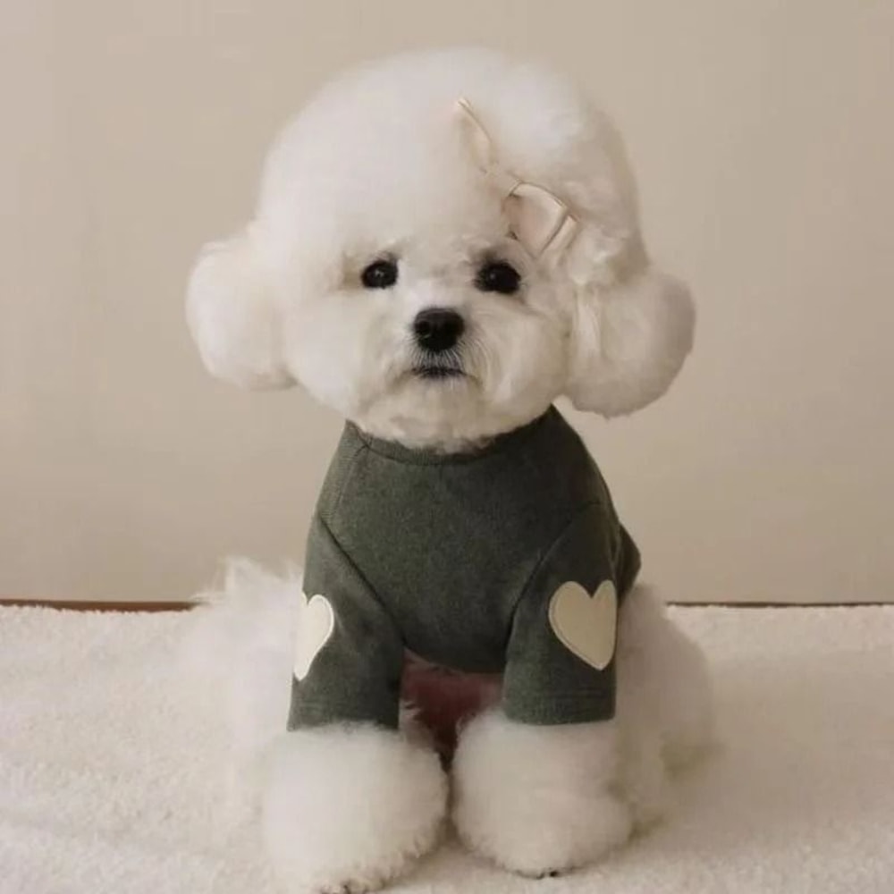 Love Bear Winter Warm Pet Base Shirt 7