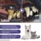 Pet Dental Care Cleaning Pen With Baking Soda Formula 4