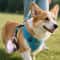 Folding Stainless Steel Outdoor Pet Water Bottle 1