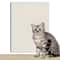 DIY SelfAdhesive Cat Scratcher Sofa Protector 6