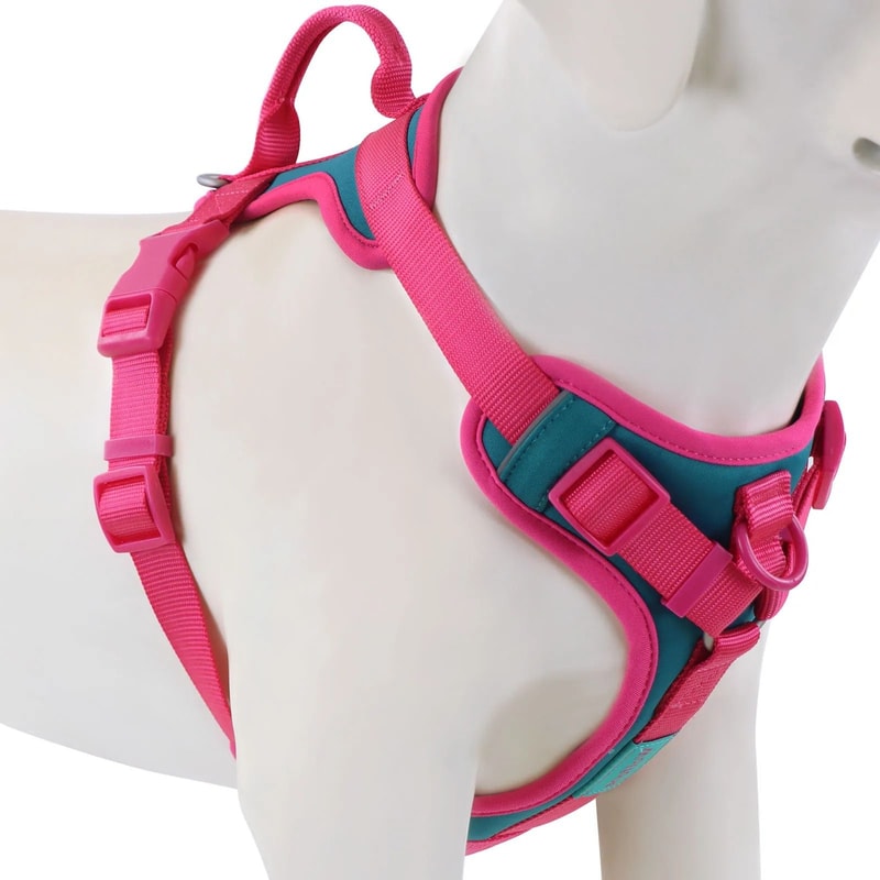 Luxury Chocolate NoPull Adjustable Dog Harness 11
