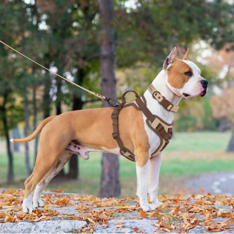 Luxury Chocolate NoPull Adjustable Dog Harness 5