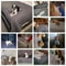 DoubleSided Waterproof Furniture Protector Pet Blanket 5