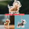 Pet Keepsake Hair Storage Keychain Pendant 0