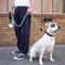 Reinforced HeavyDuty Dog Leash With SoftPadded Handle 1