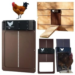 automatic light-sensing chicken coop door