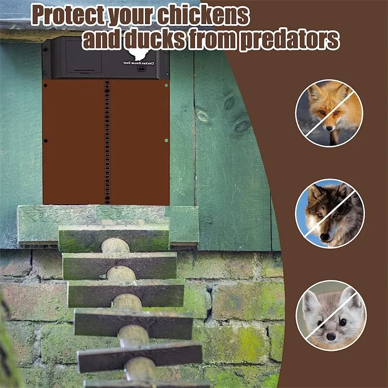 Automatic LightSensing Chicken Coop Door 3