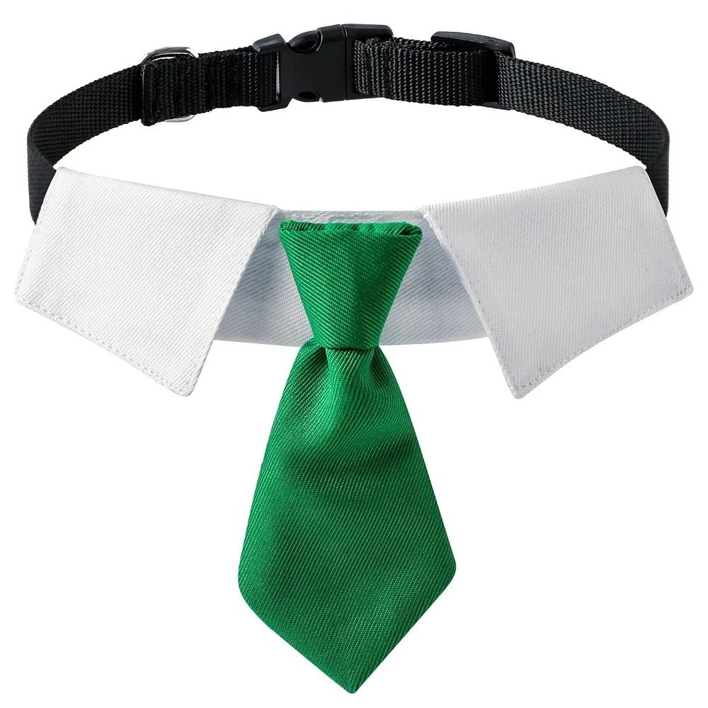 Dapper Business Necktie Formal Collar Set 10