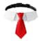 Dapper Business Necktie Formal Collar Set 7