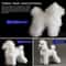 Standard Poodle Full Body Grooming Practice Model 1