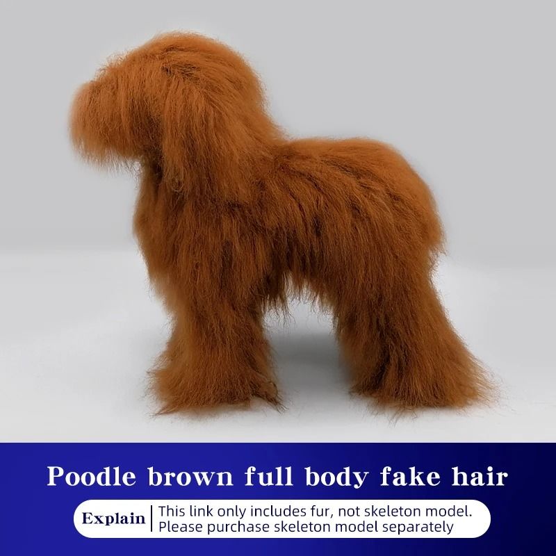 Standard Poodle Full Body Grooming Practice Model 10