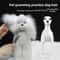 Standard Poodle Full Body Grooming Practice Model 4