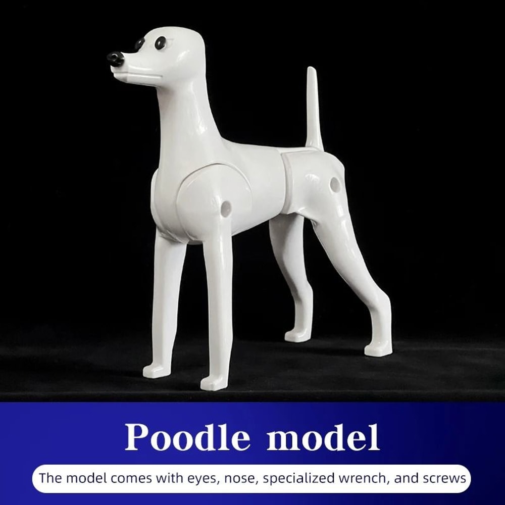 Standard Poodle Full Body Grooming Practice Model 7