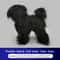 Standard Poodle Full Body Grooming Practice Model 8
