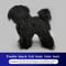 Standard Poodle Full Body Grooming Practice Model 8