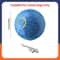 Interactive Smart SelfRolling Pet Ball 11