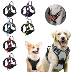 heavy-duty no-pull reflective adventure harness