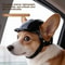 Adventure Pet Safety Helmet 0