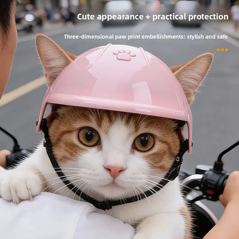 Adventure Pet Safety Helmet 2