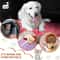 Cozy PawPrint Flannel Pet Blanket 2
