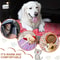 Cozy PawPrint Flannel Pet Blanket 2
