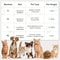 Cozy PawPrint Flannel Pet Blanket 5