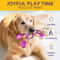 BeefInfused Animal Tough Chew Toy 1