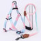 Adjustable StepIn Comfort Harness Leash Set 1