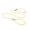 HeavyDuty Braided Rope Slip Lead 10