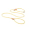 HeavyDuty Braided Rope Slip Lead 10
