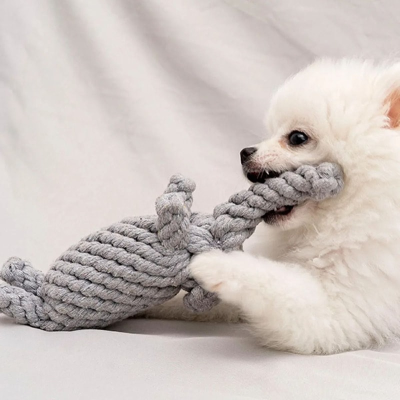 HandWoven Animal Cotton Rope Chew Toy 1