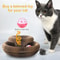 Magic Organ Foldable Cat Scratcher Interactive Toy 2