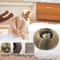 Magic Organ Foldable Cat Scratcher Interactive Toy 3