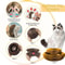 Magic Organ Foldable Cat Scratcher Interactive Toy 5
