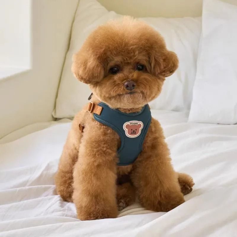 Cute Bear Embroidery Pet Harness Leash Set 0