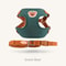 Cute Bear Embroidery Pet Harness Leash Set 6