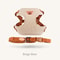 Cute Bear Embroidery Pet Harness Leash Set 7