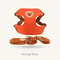 Cute Bear Embroidery Pet Harness Leash Set 8