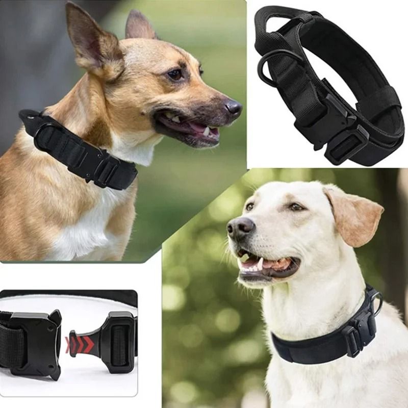 HeavyDuty Tactical Collar Bungee Leash Set 1