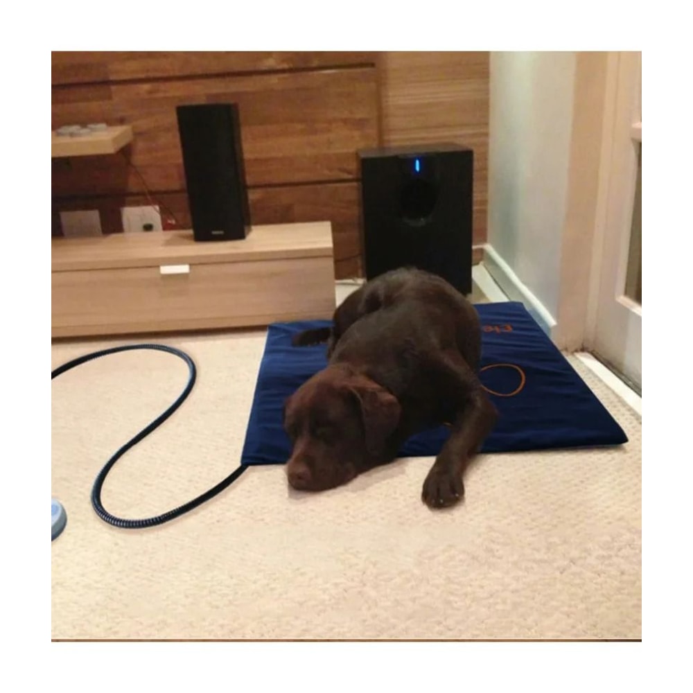 Adjustable Temperature Pet Electric Heating Pad 2