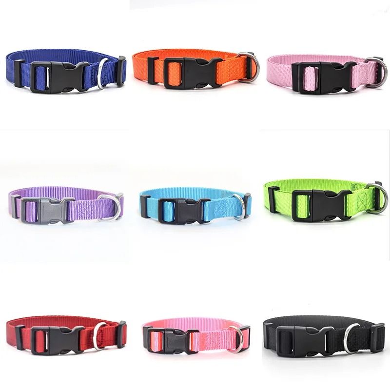 Classic Adjustable Nylon Pet Collar 1