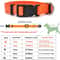 Classic Adjustable Nylon Pet Collar 10